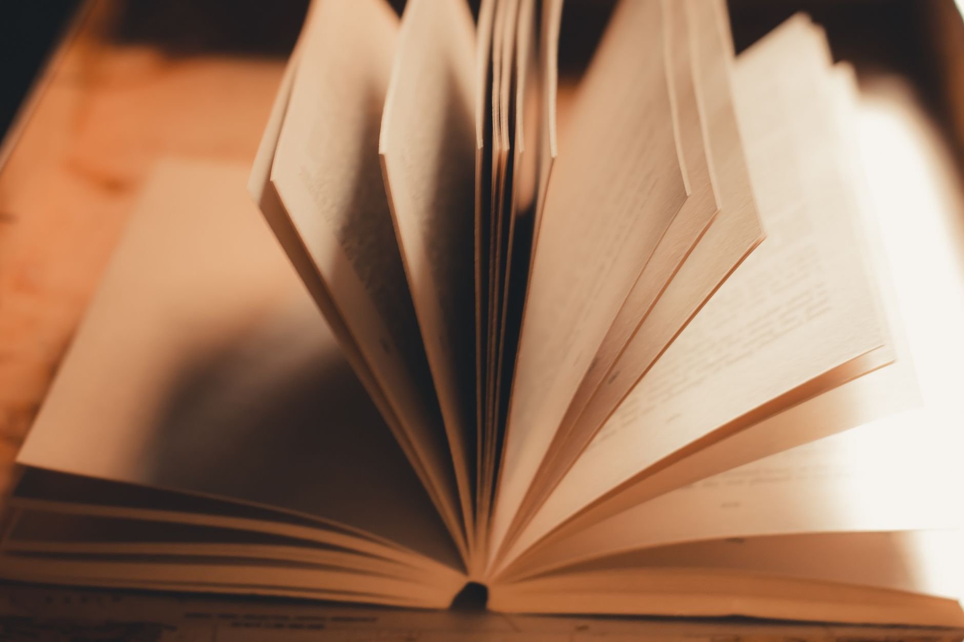 Open book with pages turning in warm, soft light