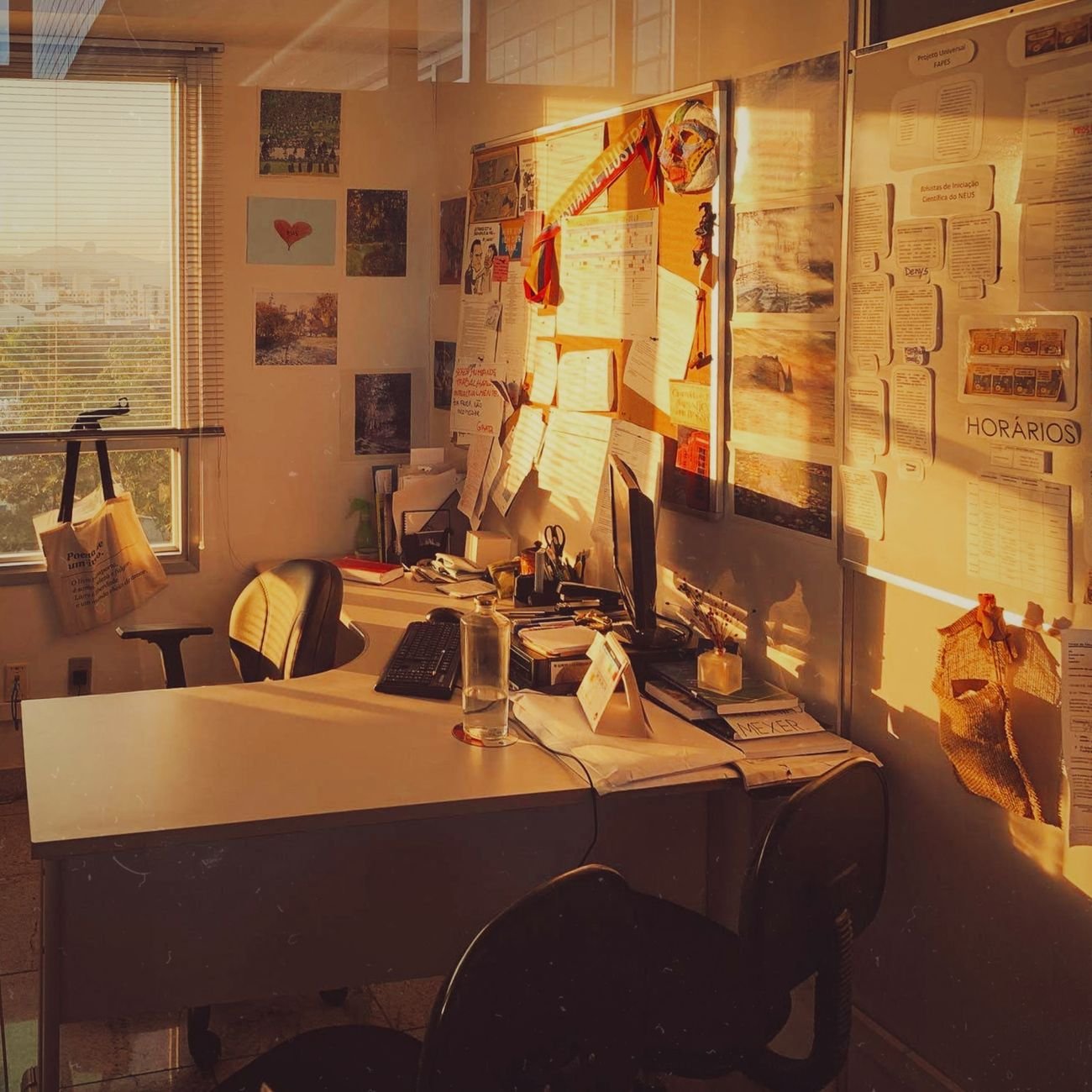 Writer at desk in warm morning light — the environment of a focused creator
