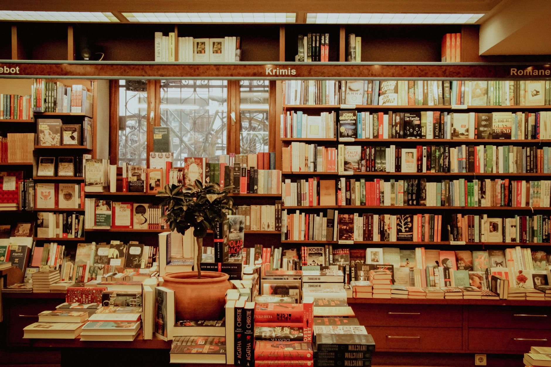 Warm independent bookstore interior with shelves of books — the atmosphere of literary recommendation